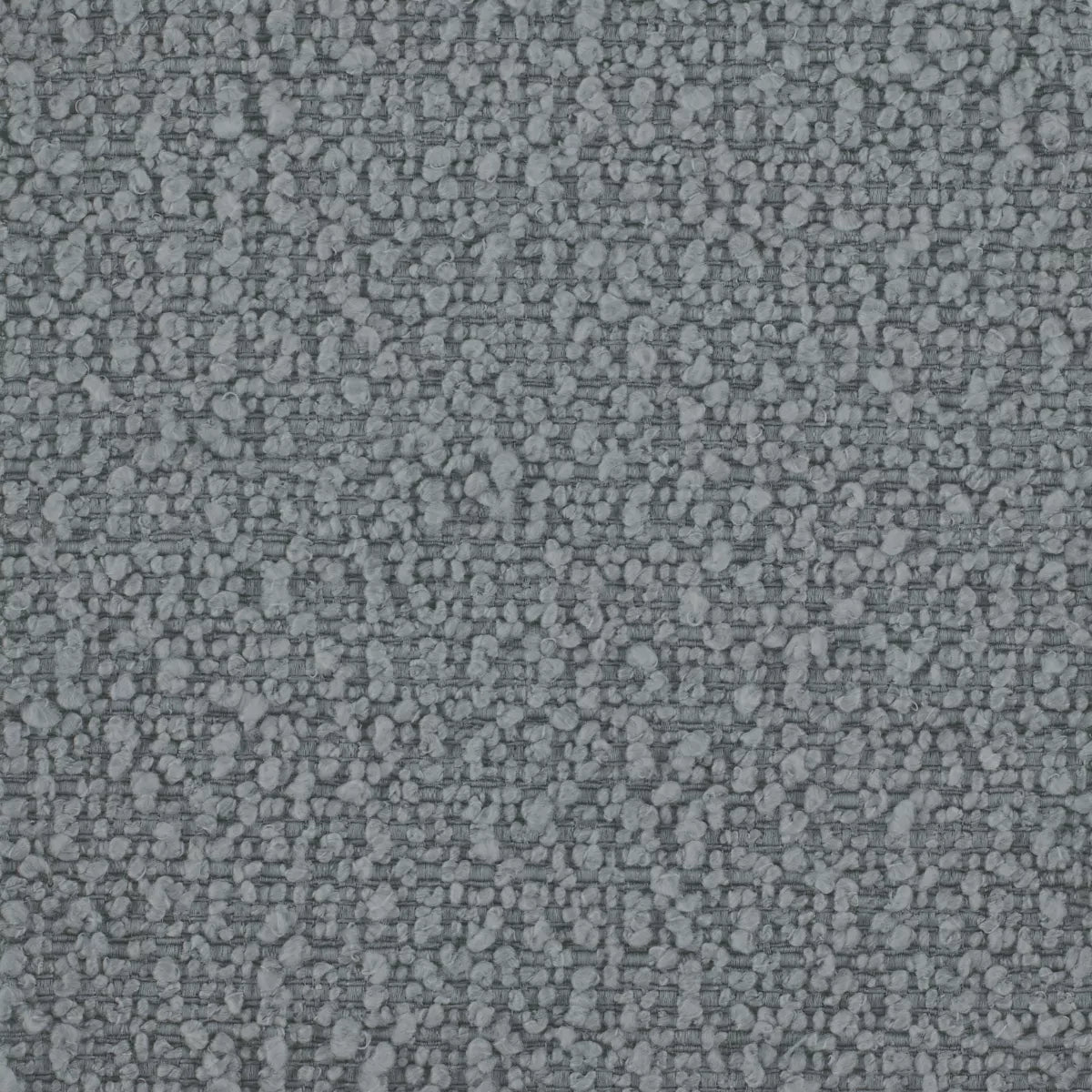 Boucle Dove