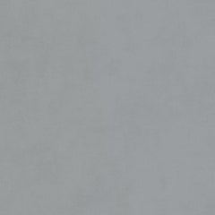 Light Silver